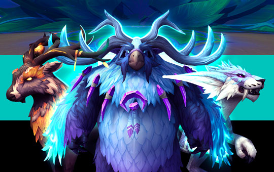 Druid Form Customizations