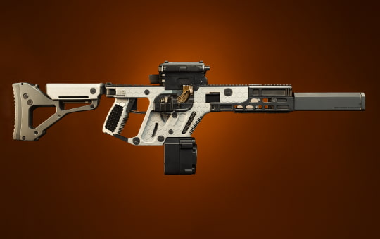 Chameleon Exotic Assault Rifle