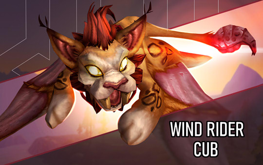 Wind Rider Cub