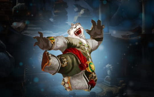 Arena Coaching