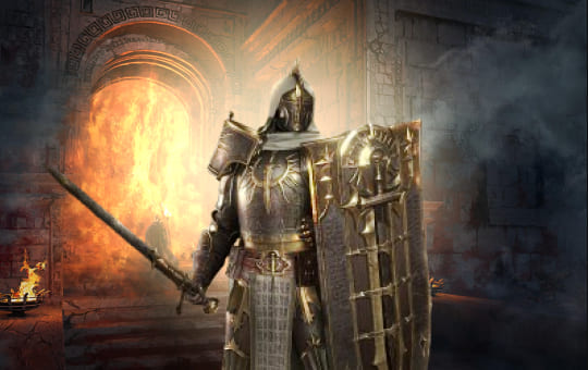 Paladin Build