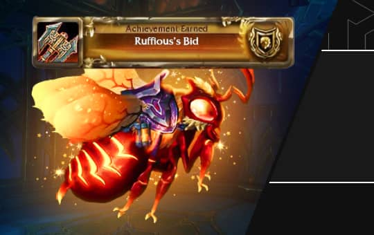 Ruffious's Bid Achievement