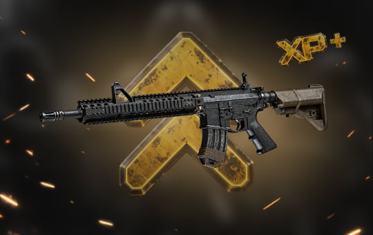 MW4 Assault Rifles Leveling